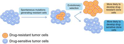 Single-cell analysis technologies for cancer research: from tumor-specific single cell discovery to cancer therapy